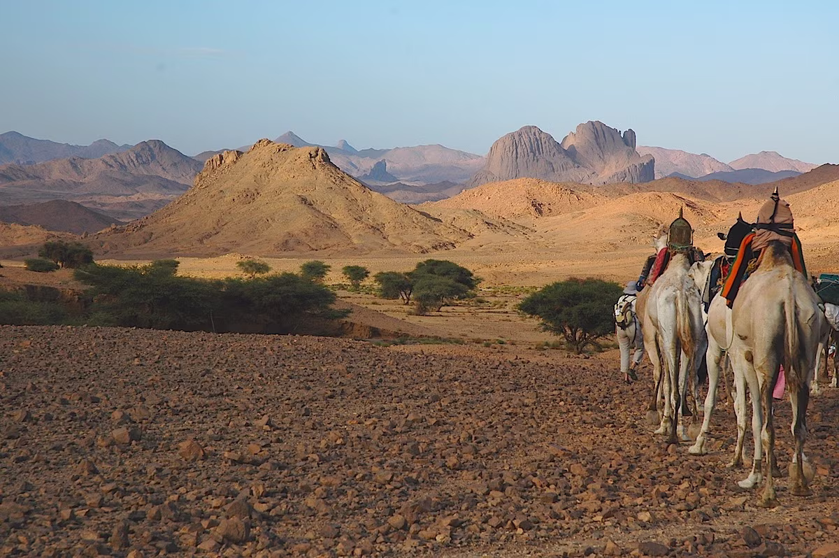 Camel trek from Tamanrasset to Assekrem via Wadi Tanget and Arechoum